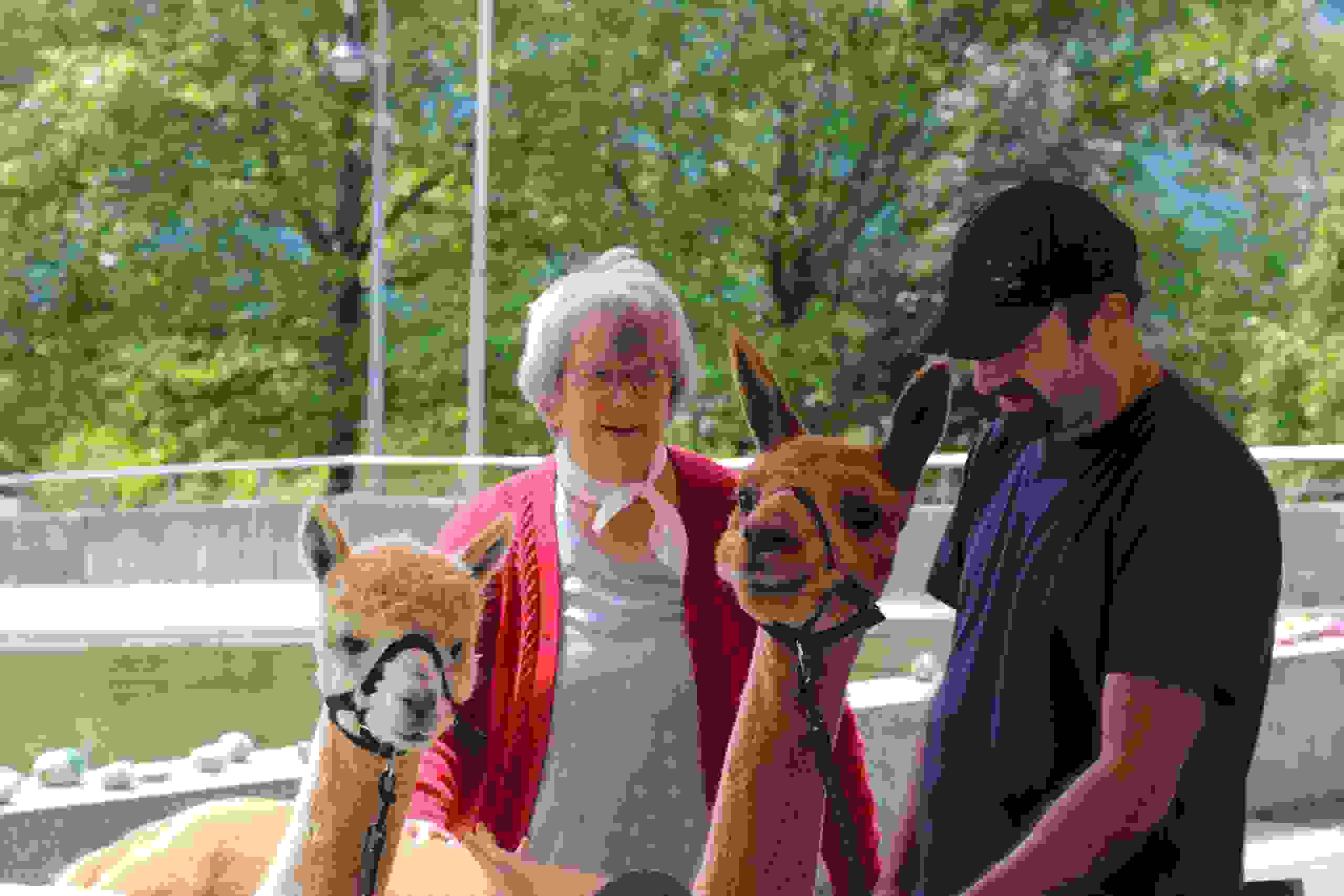Zoom: img_3369.jpg