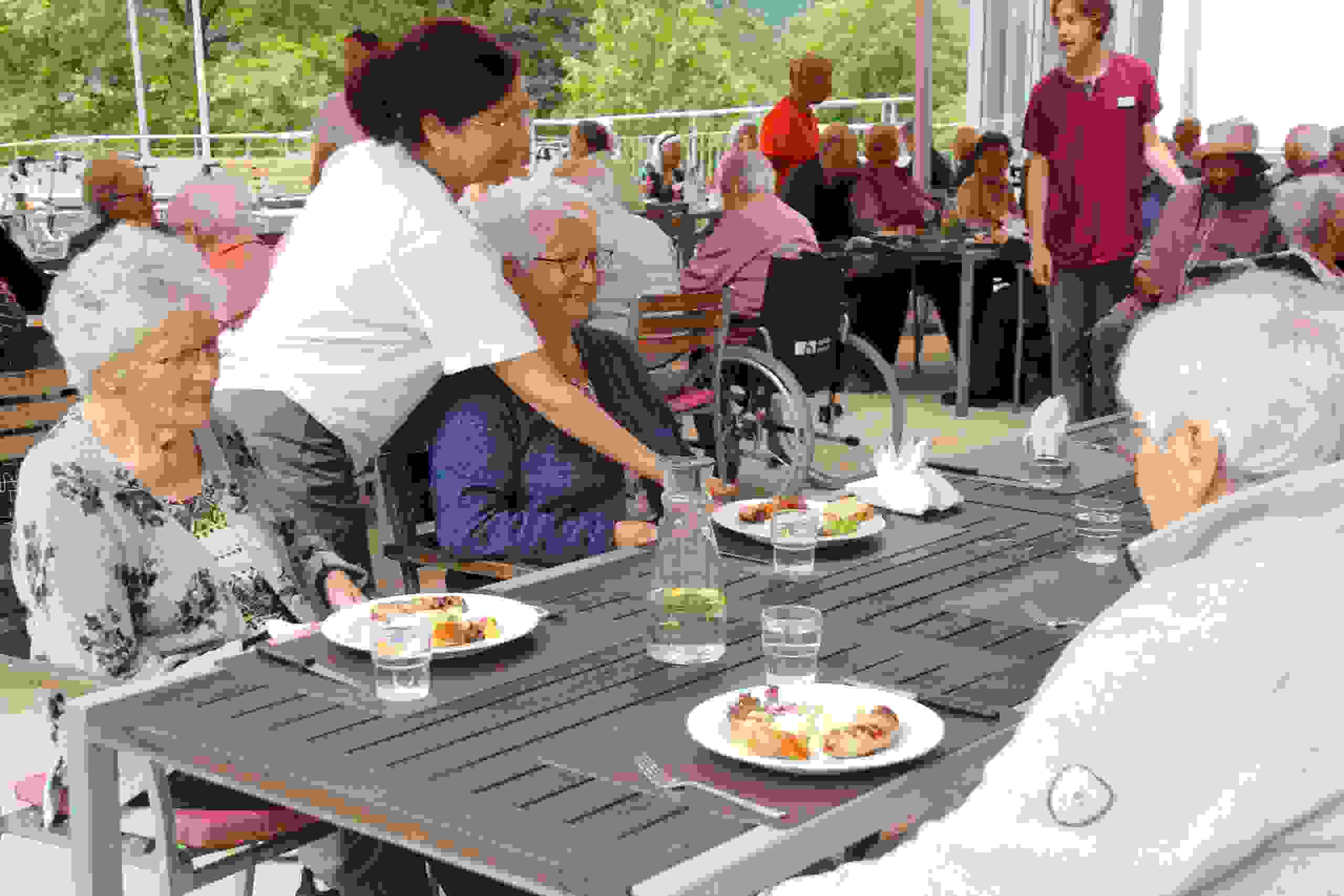 Zoom: sommergrillen.jpg