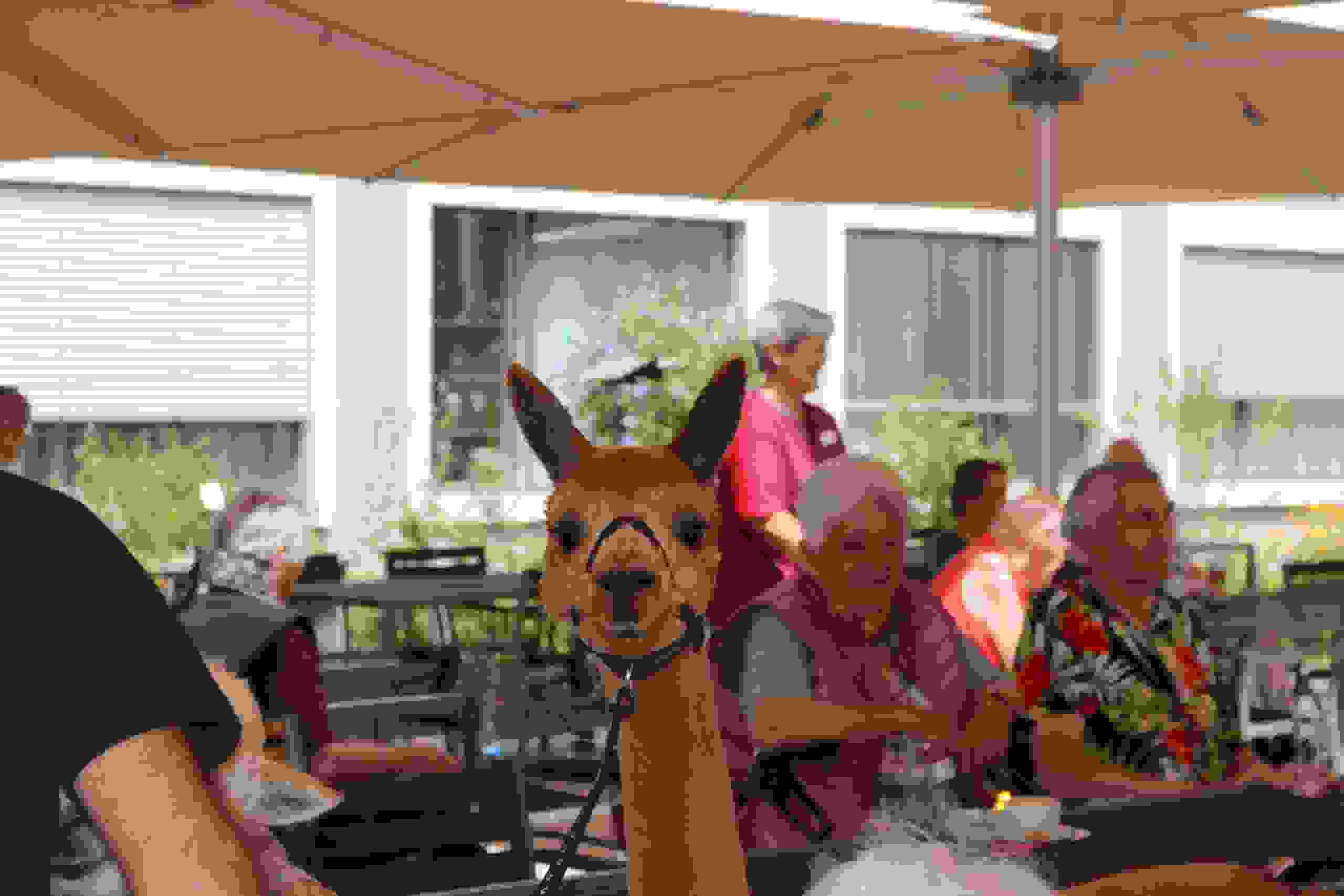 Zoom: img_3395.jpg