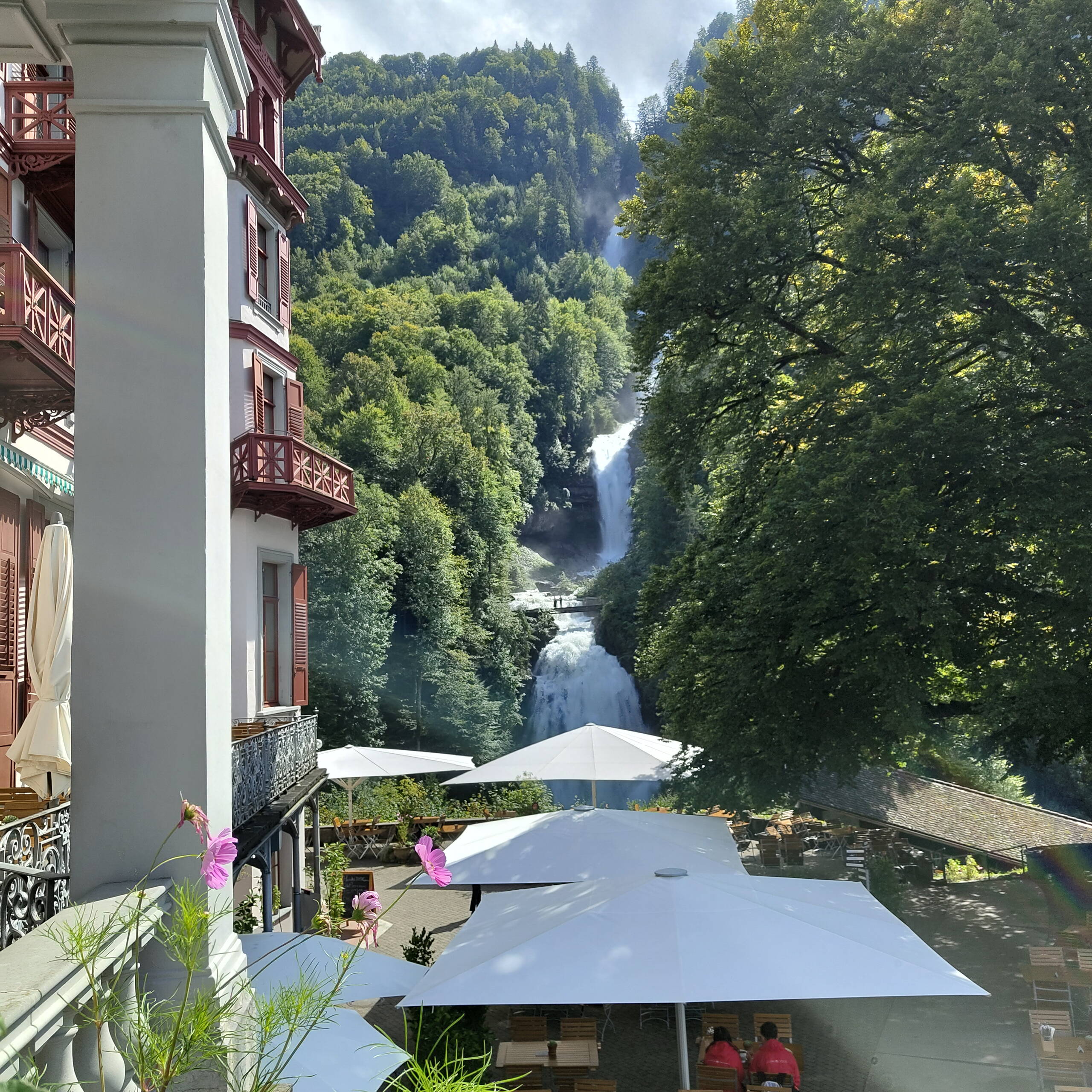 Zoom: img_20240910_141208803.jpg