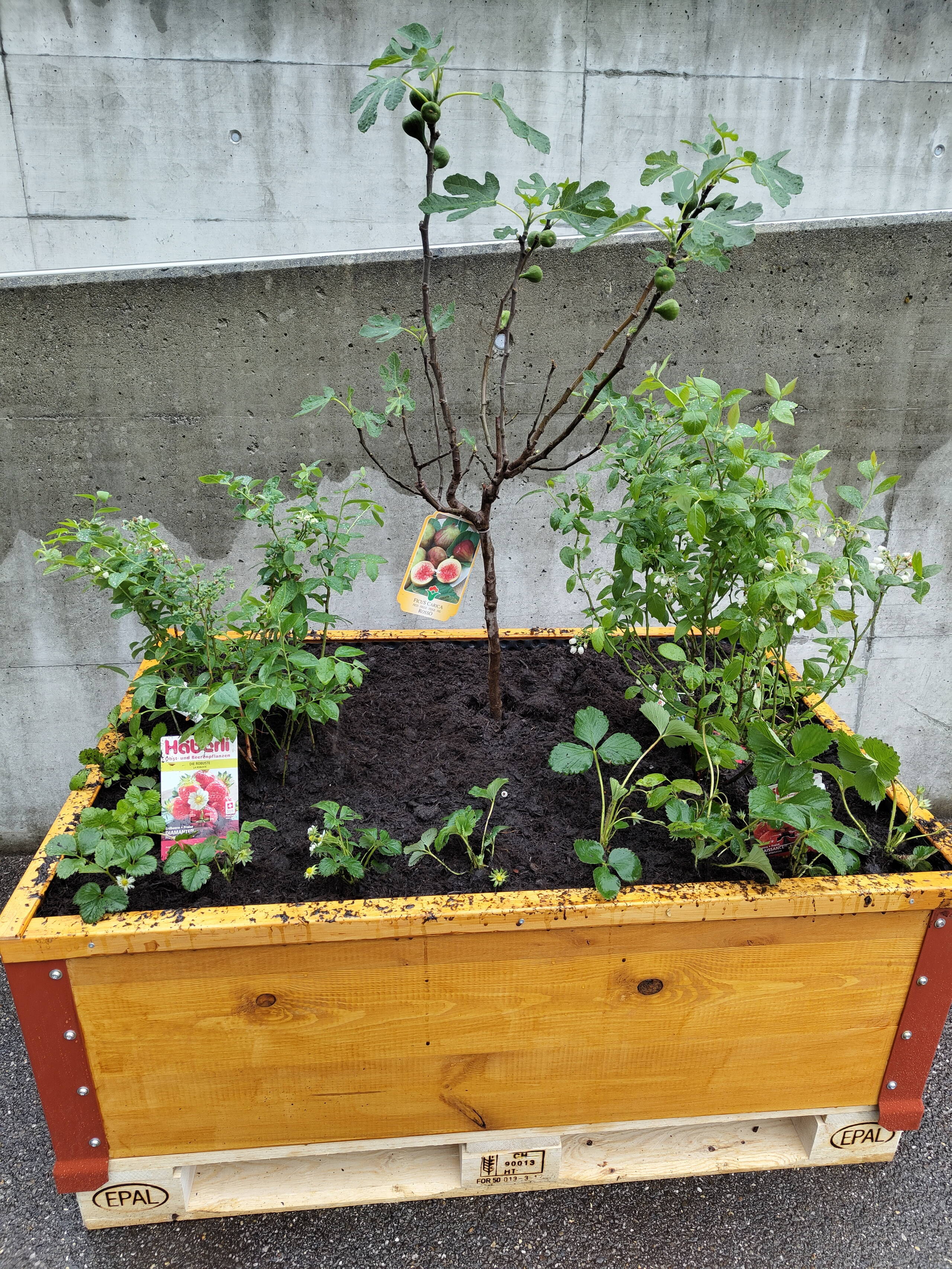 Zoom: img_20240516_163345936.jpg