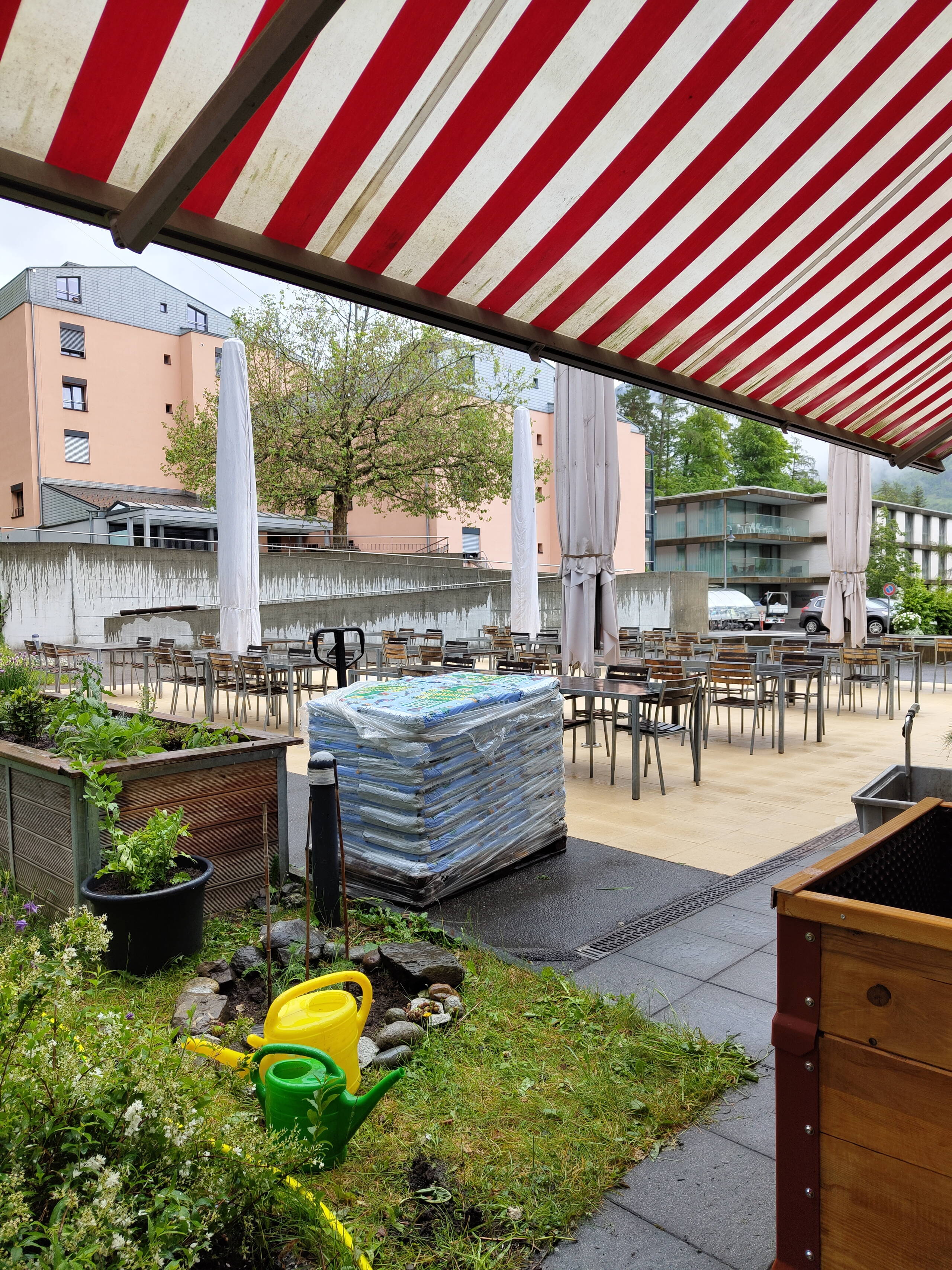 Zoom: img_20240516_134416157.jpg