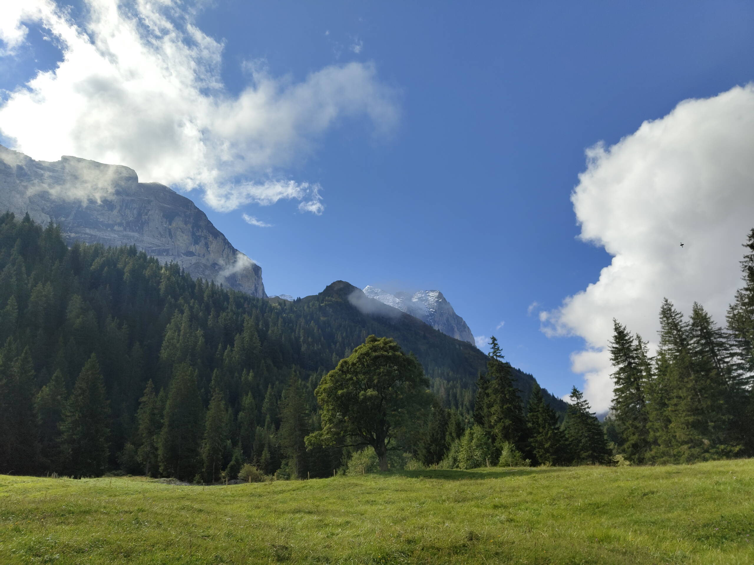 Zoom: img_20250911_115029187.jpg