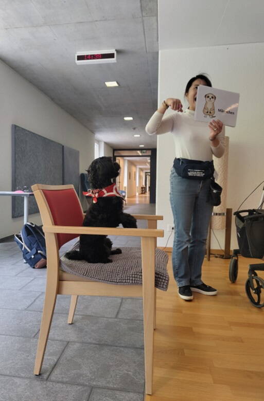 Zoom: img_20240430_143931726.jpg