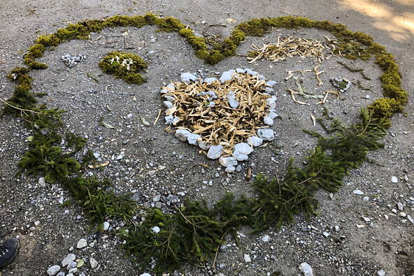 Zoom: 1-1f920826-8153-4b69-b96e-710a5ef62724.jpg