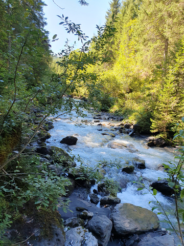 Zoom: 5f56686b-73f9-476e-984c-320d3ac32e24.jpg.640x480_q85.png