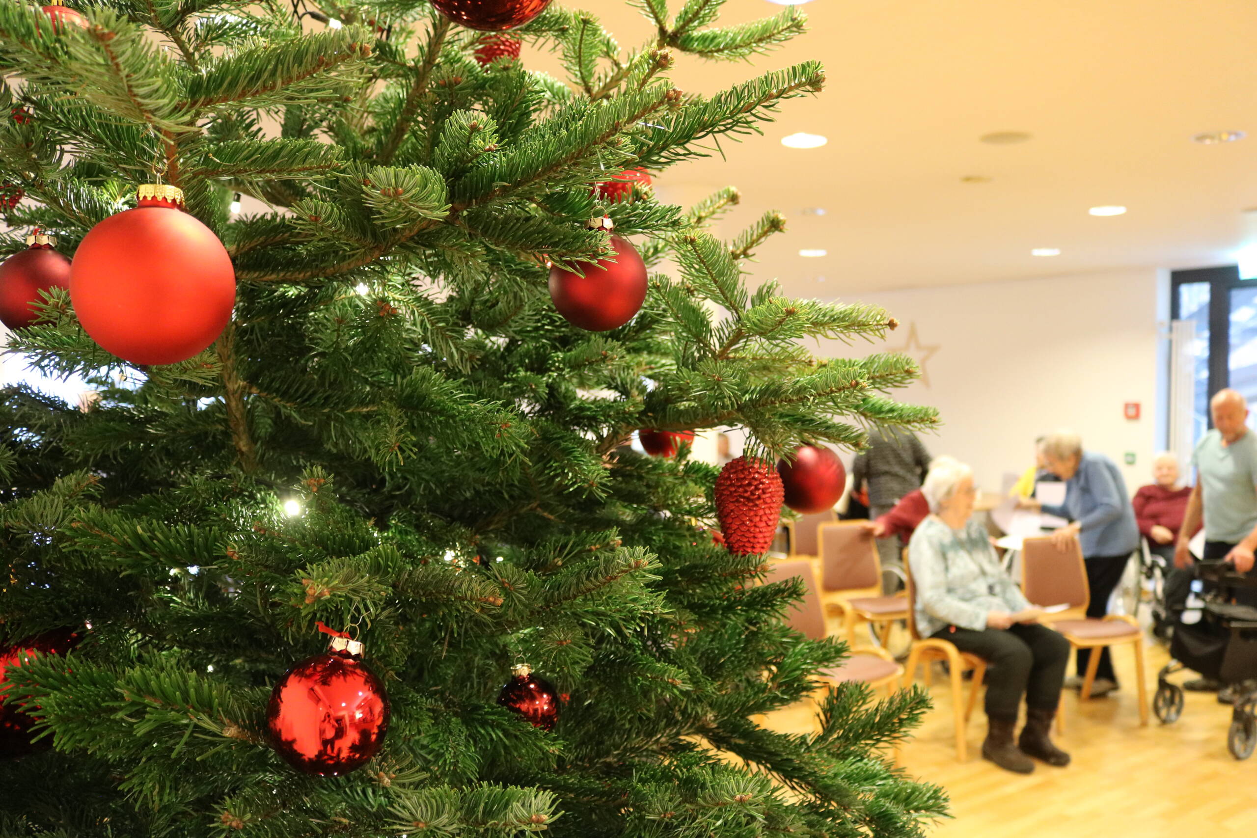 Zoom: weihnachten.jpg