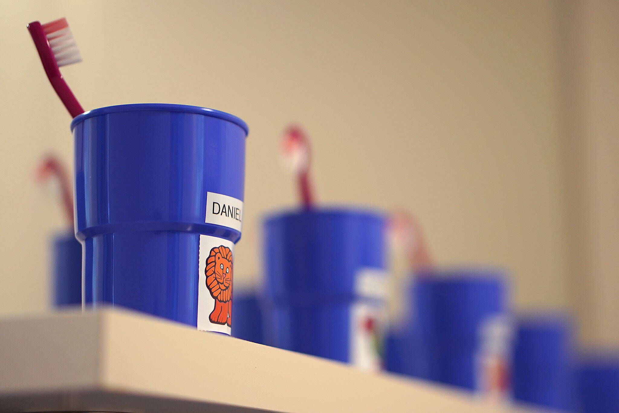 Kita Karfunkel Stiftung Alpbach Meiringen