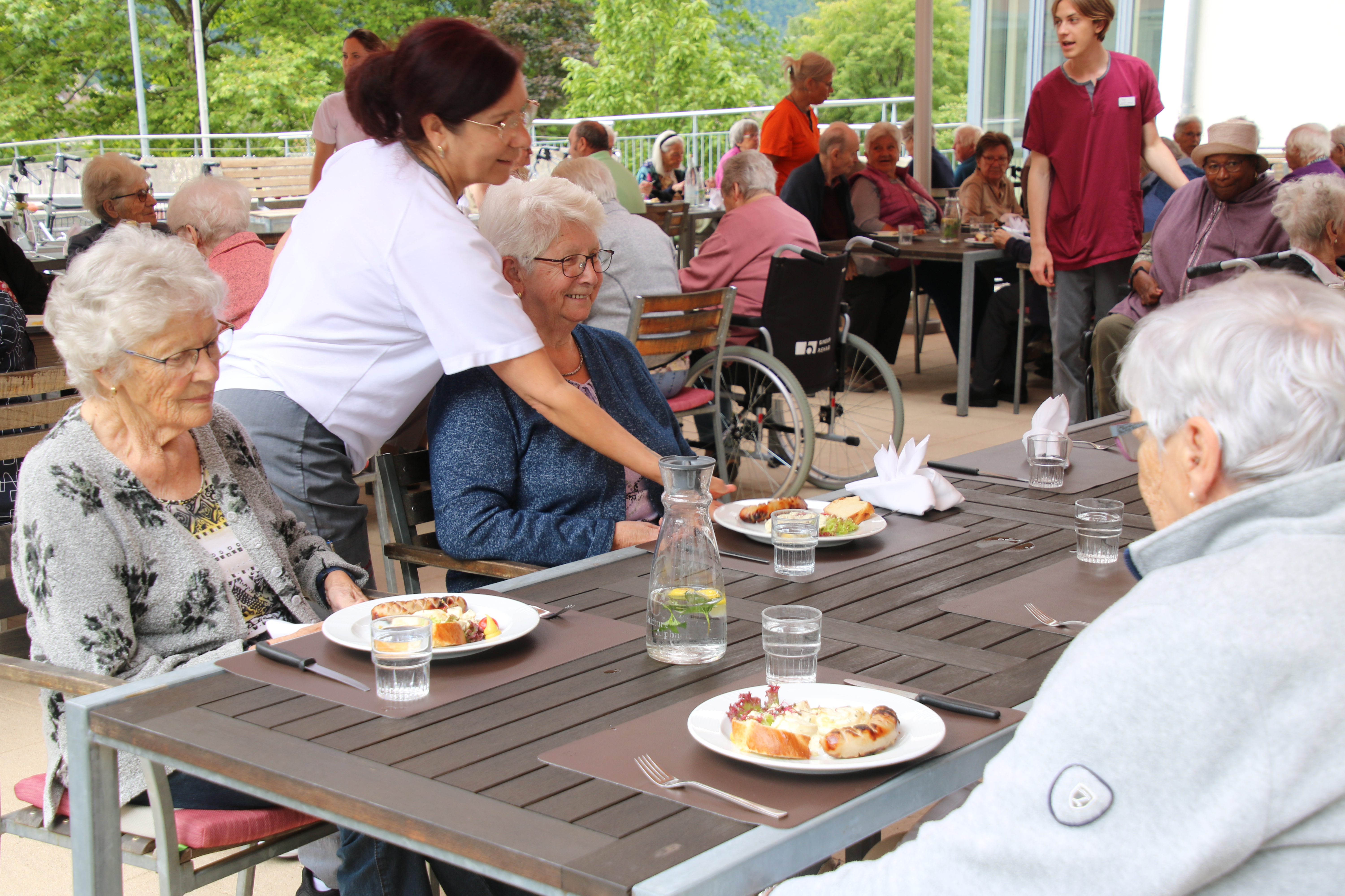Sommergrillen