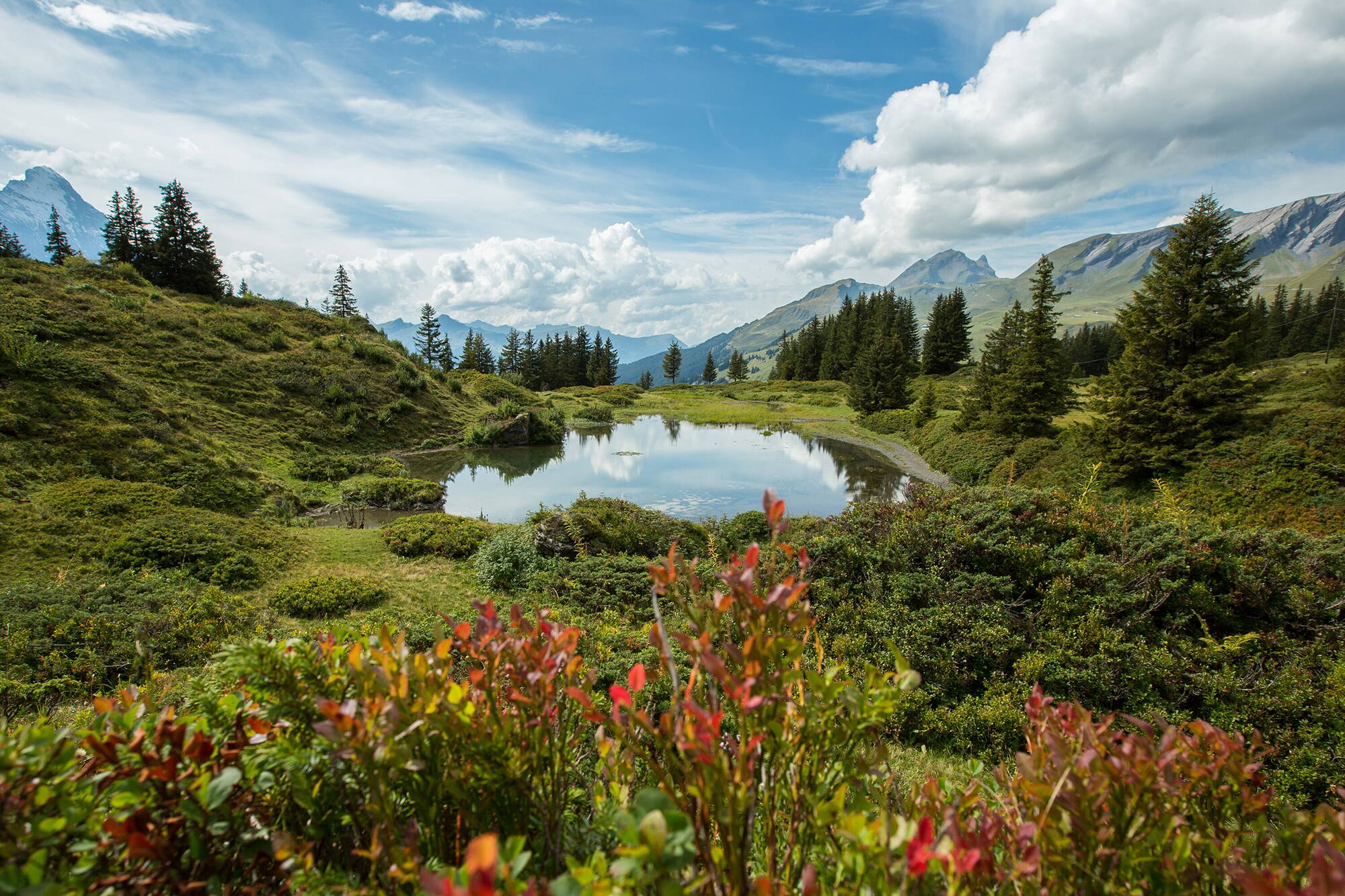 Haslital © Jungfrau Region Tourismus AG